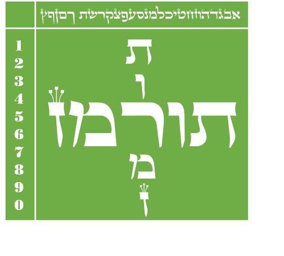 תמונת תוכנה